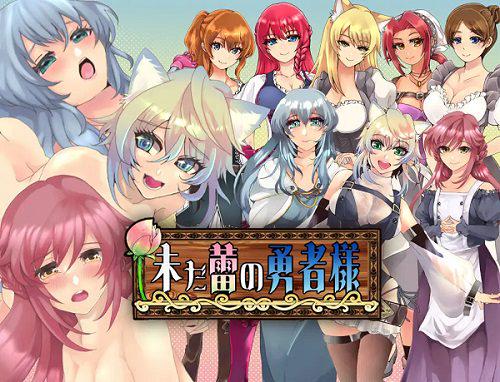 尚未崭露头角的勇者大人 | 安卓直装【1.1G】