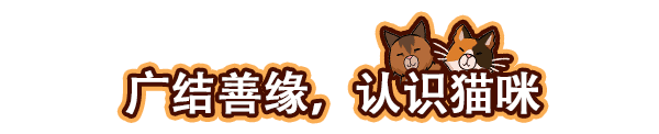 猫咖经理Cat Cafe Manager（v1.2.496）