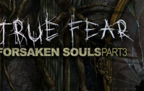真实恐惧：被遗弃的灵魂3/True Fear Forsaken Souls Part 3（v1.1.2）
