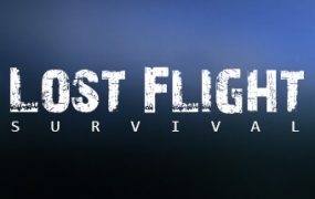 失落的飞机：生存/Lost Flight: Survival