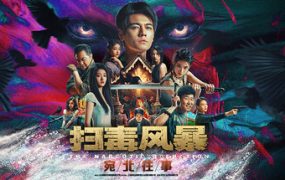 扫毒风暴：宛北往事/The Narcotic Operation