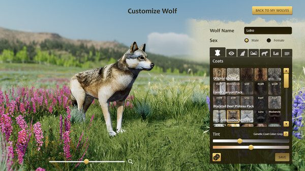 野狼谜踪：周年纪念版/WolfQuest: Anniversary Edition（v2.0.3D）