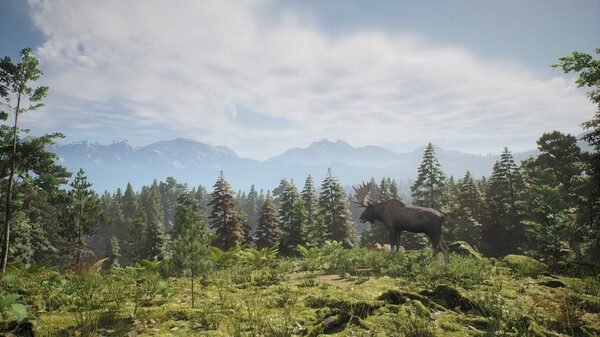 狩猎计划/Project Hunt（更新至v20260318）