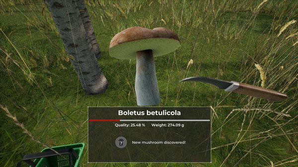 蘑菇采集世界/Mushroom Hunter World