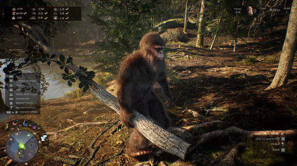 大脚怪生活/Bigfoot Life