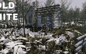 冷白/The Cold White（Build.21100504）