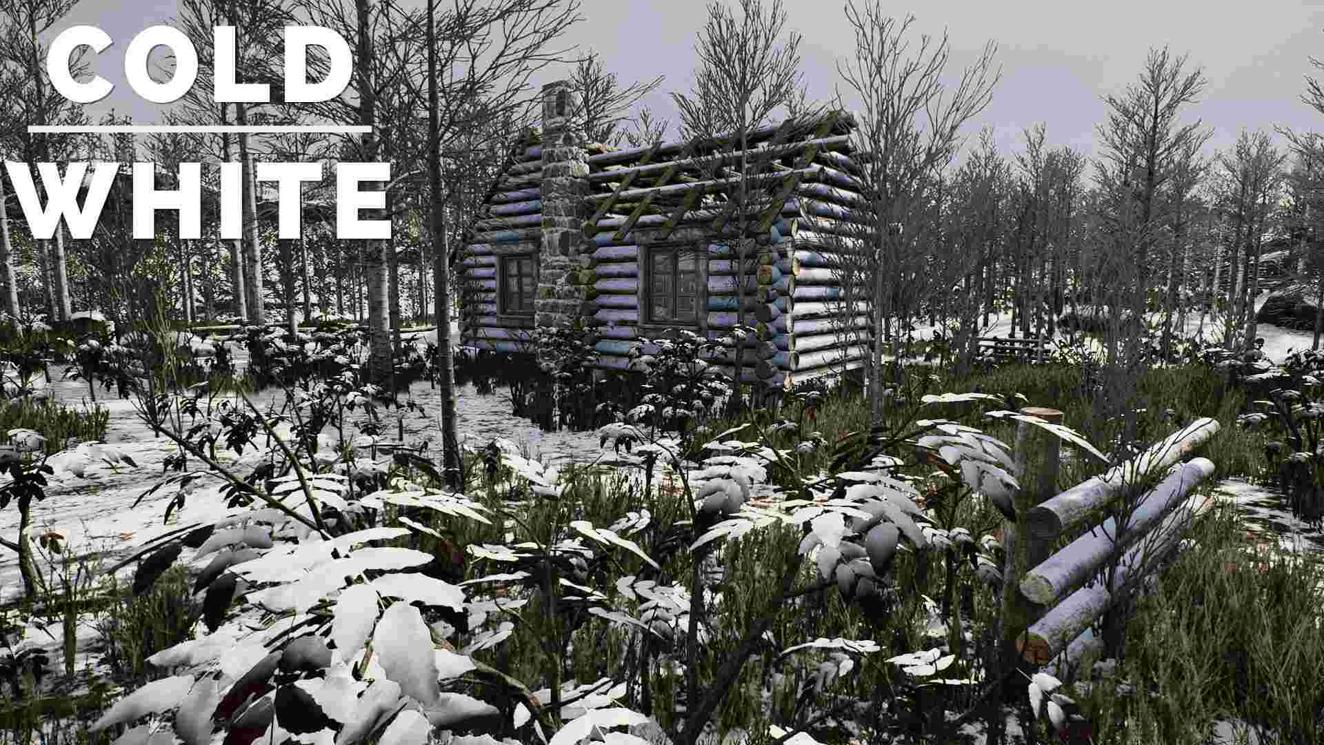冷白/The Cold White（Build.21100504）