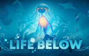 水底生命/Life Below（Build.20980496）