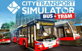 城市交通模拟/City Transport Simulator