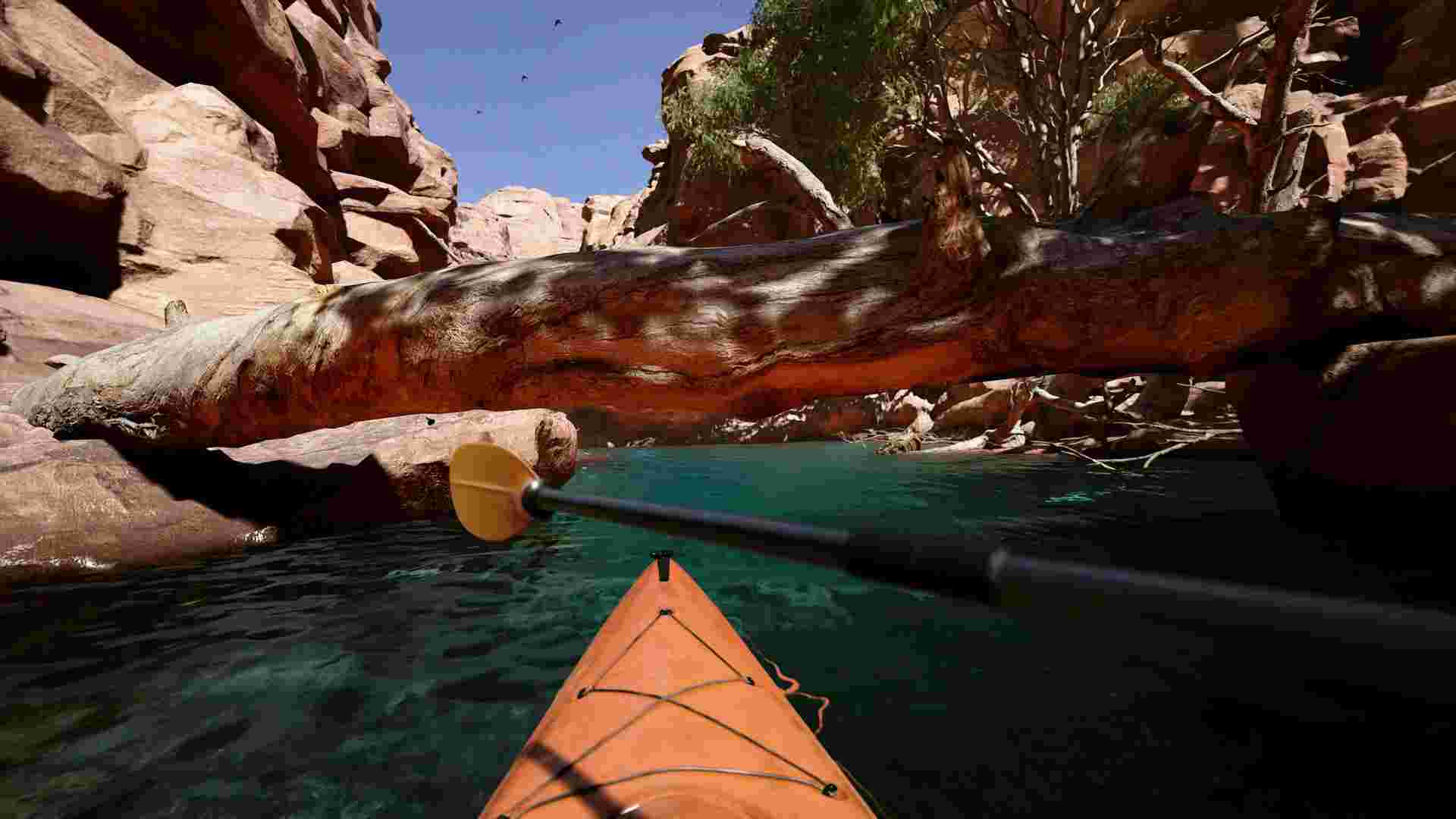 皮划艇/Kayak VR: Mirage