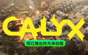 星萼/Calyx