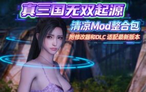 《真・三国无双 起源》绅士模组整合包（版本v1.01）