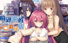 响野家经营的**游戏店/響野さん家はエロゲ屋さん