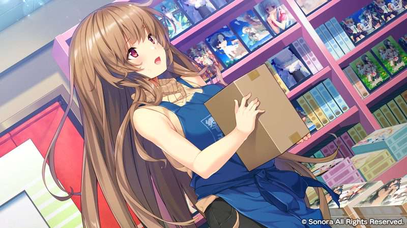 响野家经营的**游戏店/響野さん家はエロゲ屋さん