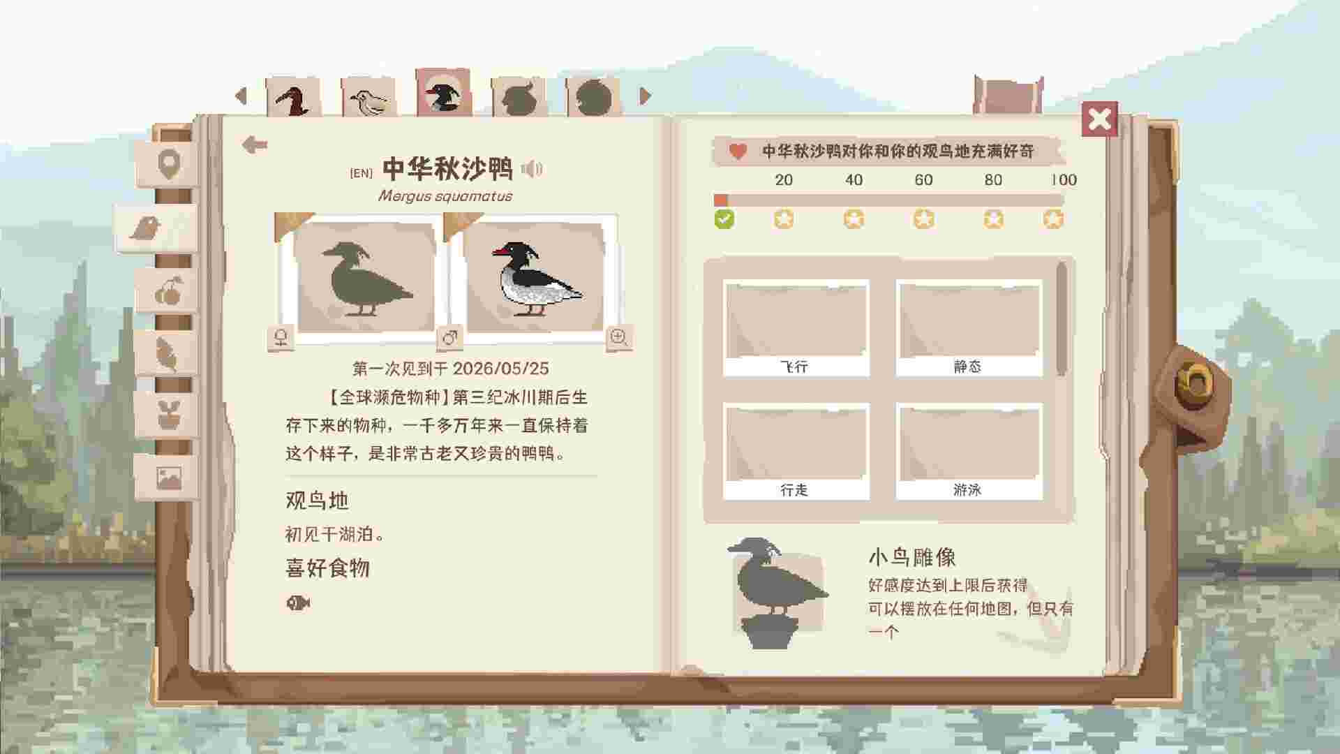 观鸟记录/Birdwatching Notebook